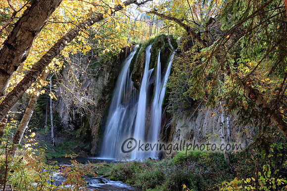 IMG_2978 copy
