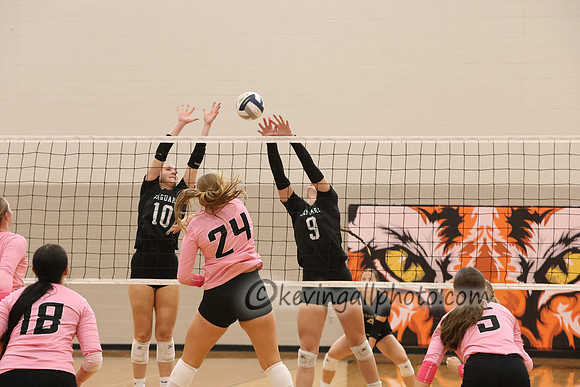 20260217_3458