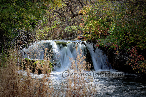 IMG_3014 copy