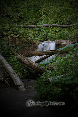 IMG_0843 copy