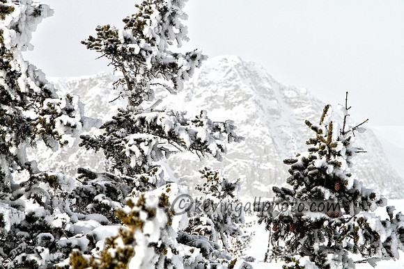 IMG_0724 copy