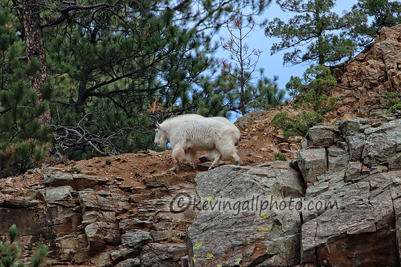 IMG_2952 copy