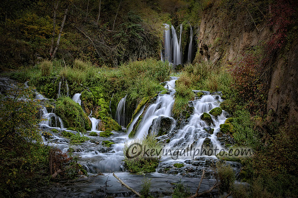 IMG_6336 copy