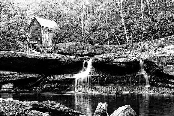 IMG_7730 copy4 copy