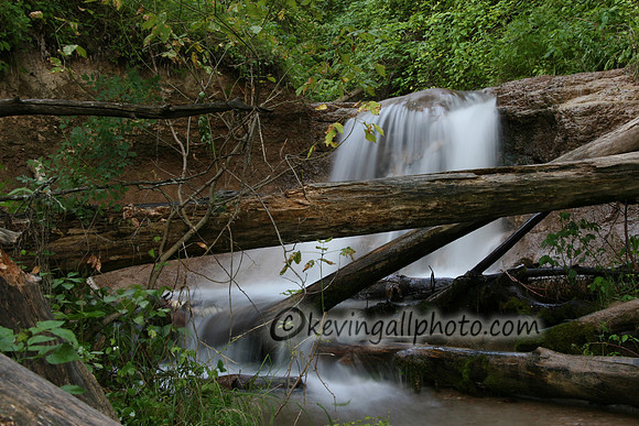 IMG_0849 copy