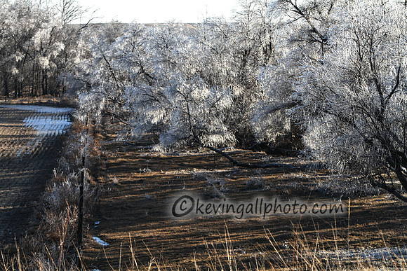 IMG_2497 copy