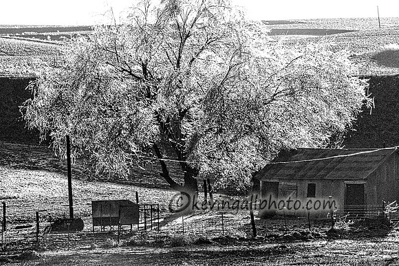 IMG_2480 copy