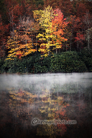 IMG_7919 copy