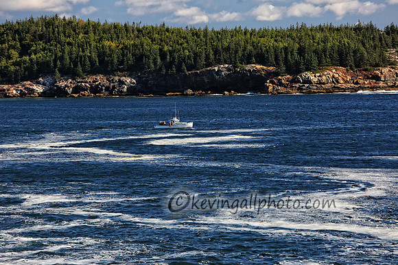 IMG_2430 copy
