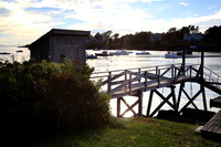 IMG_2257 copy