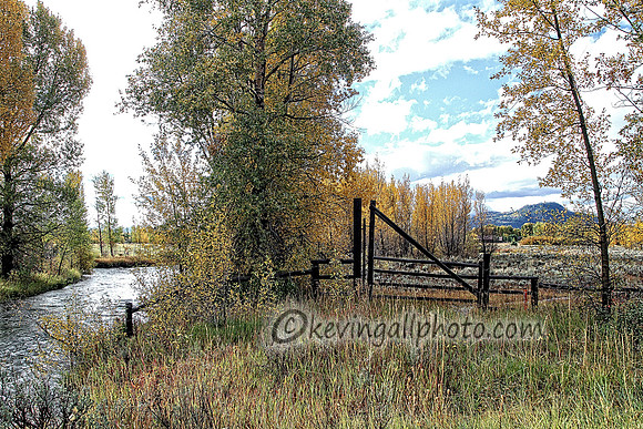 IMG_1821 copy