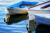 IMG_2262 copy copy1