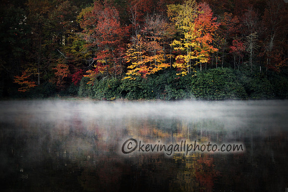 IMG_7935 copy