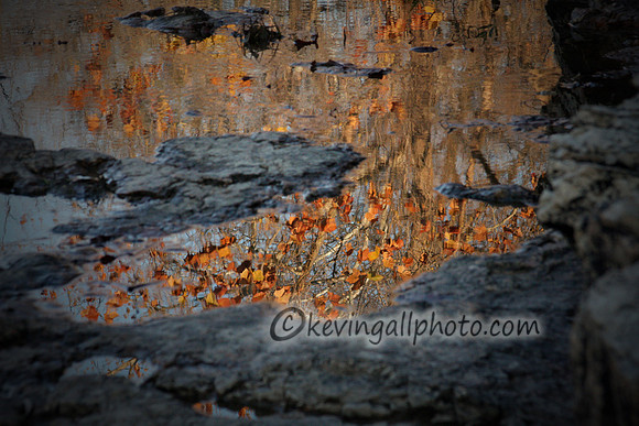 IMG_6784 copy