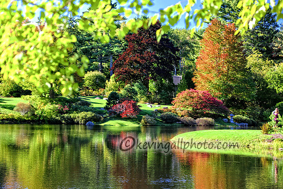 IMG_2505 copy