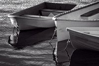 IMG_2262 copy copy