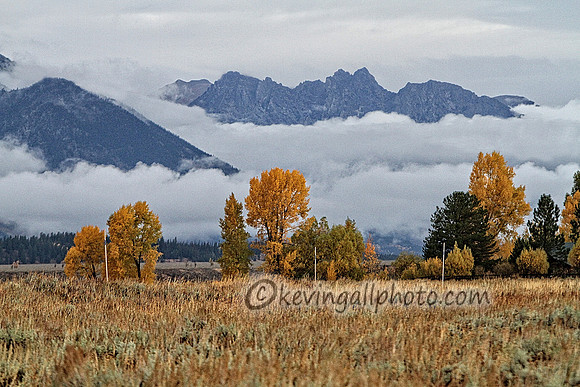 IMG_1446 copy