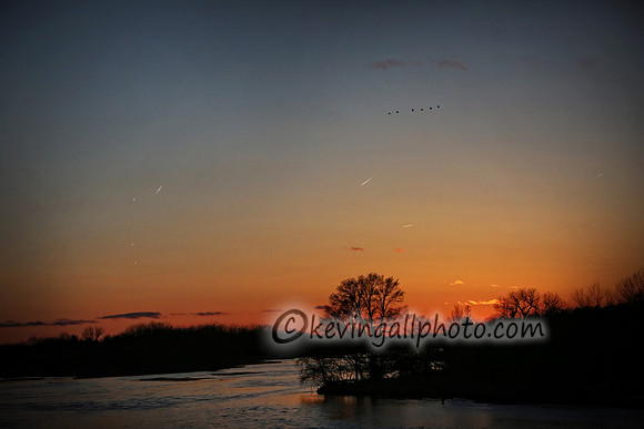 IMG_8617 copy