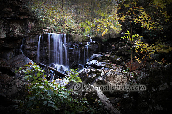 IMG_8138 copy
