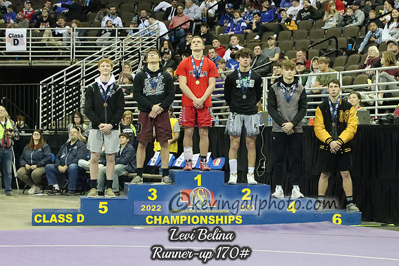 IMG_5534 copy