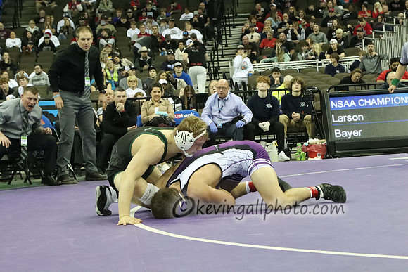 IMG_5751
