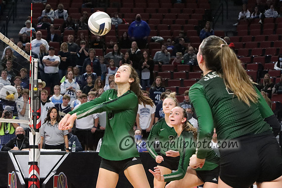 IMG_1486