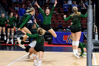 State VB vs Shelton