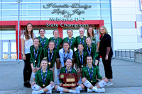 Volleyball State Championship