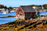 IMG_2233 copy copy