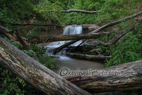 IMG_0850 copy