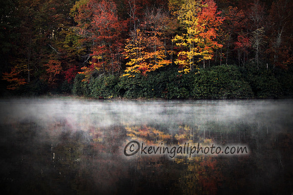 IMG_7921 copy