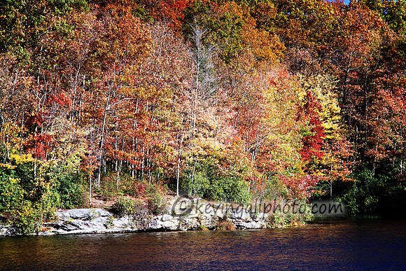 IMG_7802 copy