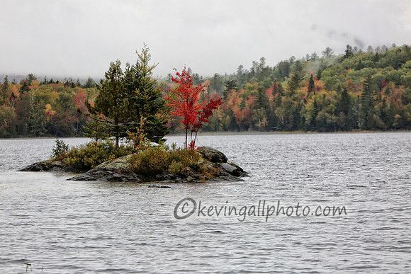 IMG_2836 copy