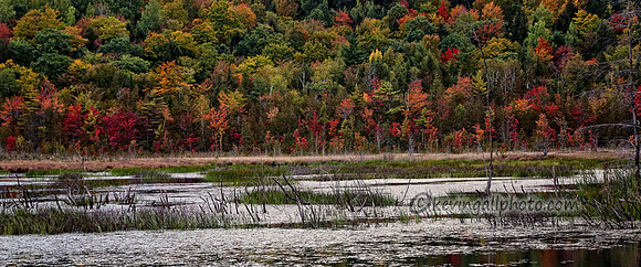 IMG_2789 copy copy