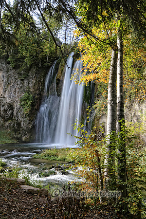 IMG_6374 copy
