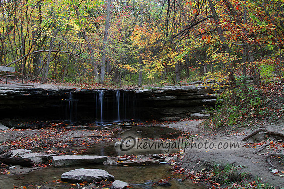 IMG_5874 copy