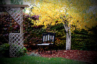 IMG_3457 copy