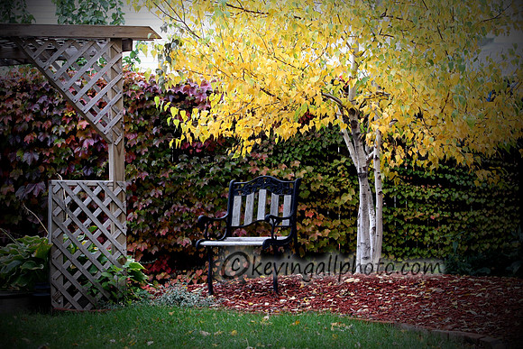 IMG_3457 copy