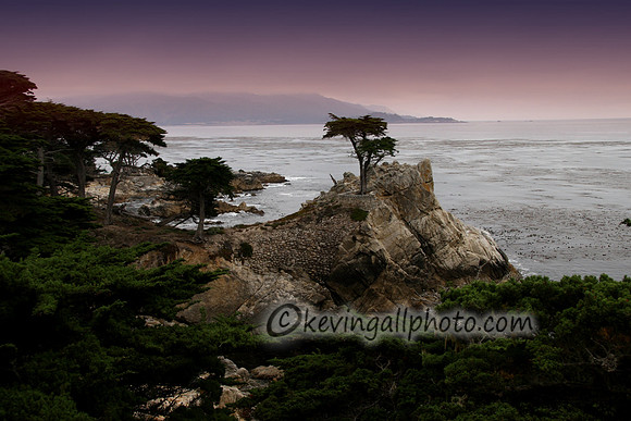 IMG_0821 copy