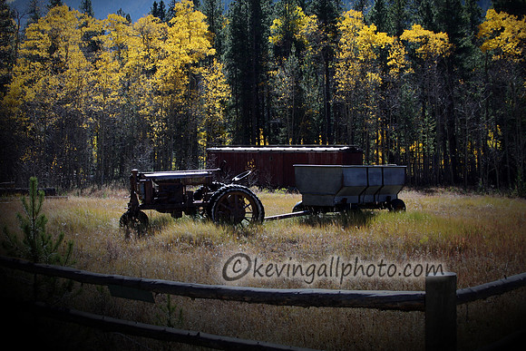 IMG_0479 copy