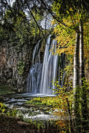 IMG_6372 copy copy