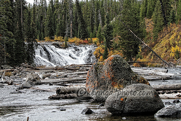 IMG_1925 copy