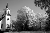 IMG_9513 copy