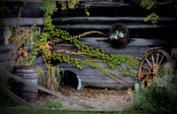 IMG_3459 copy