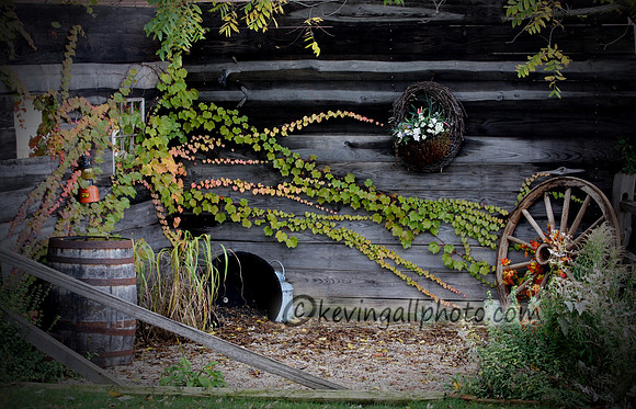 IMG_3459 copy