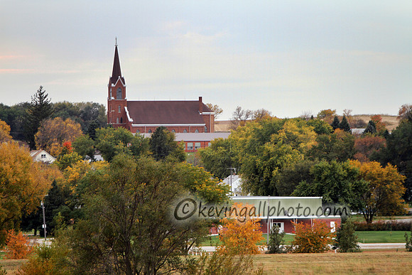 IMG_1019 copy