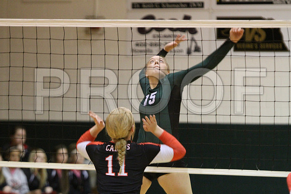 IMG_6252