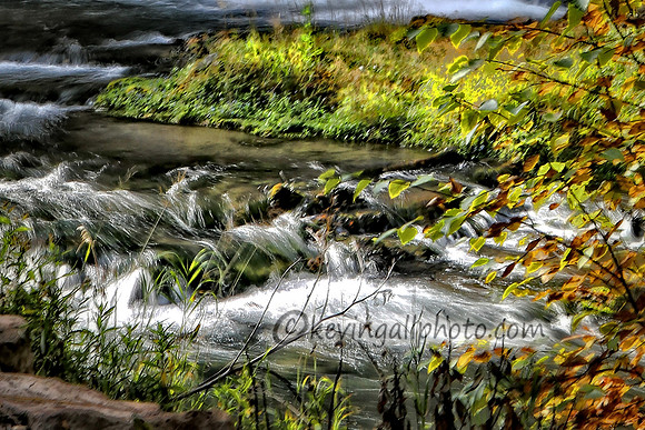 IMG_6372 copy3 copy